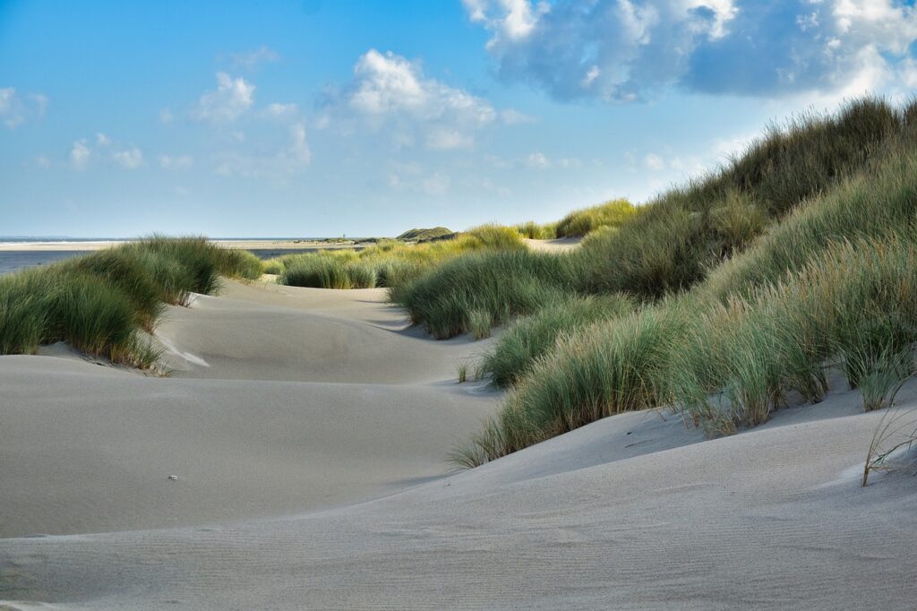 Wat is het leukste Waddeneiland?
