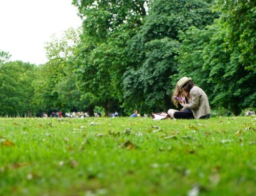 Van stad naar groen geluk met Pokon en tuinaarde op je balkon